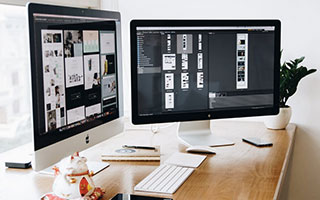 我们动物短剧剧情介绍